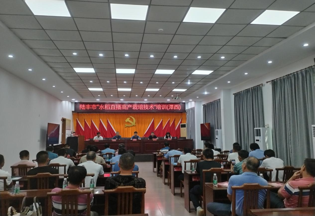 陸豐市水稻直播高產(chǎn)栽培技術(shù)培訓(xùn)會.png