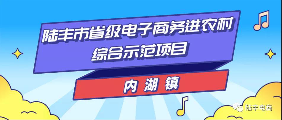 內湖鎮(zhèn)電商培訓班.png