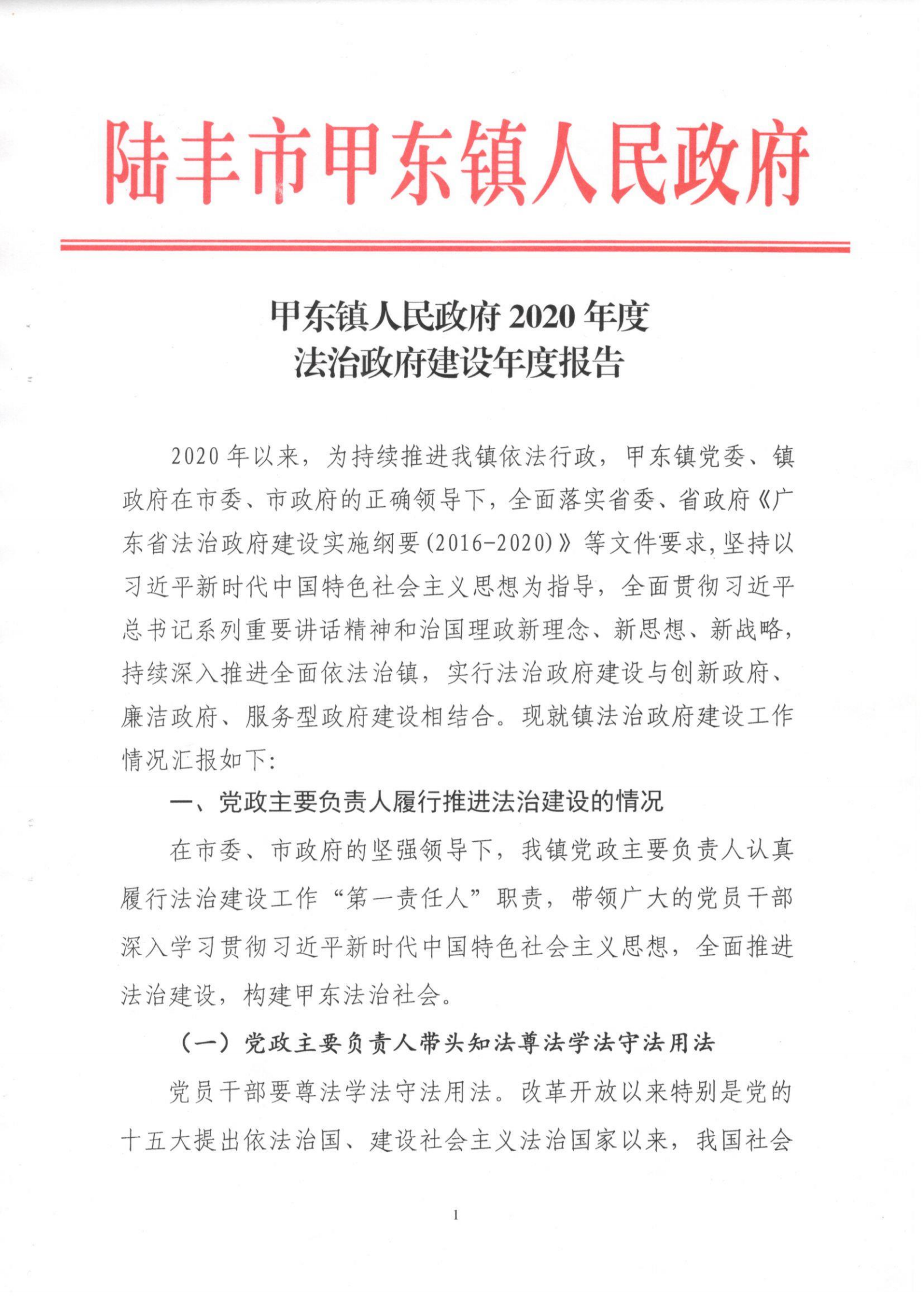 甲東鎮(zhèn)人民政府2020年度法治政府建設年度報告_00.png